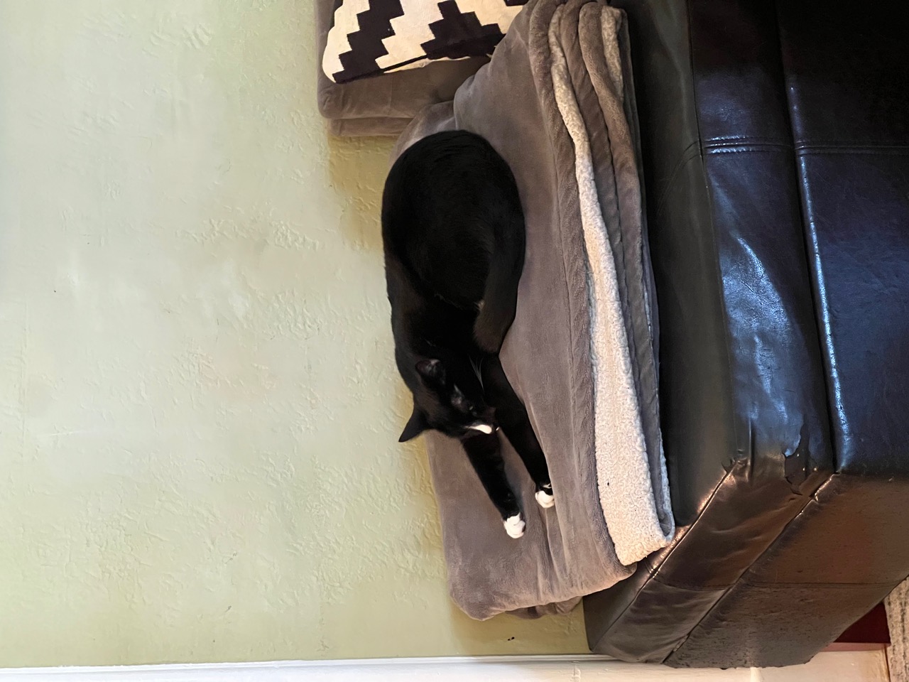 IMG_0046.jpeg