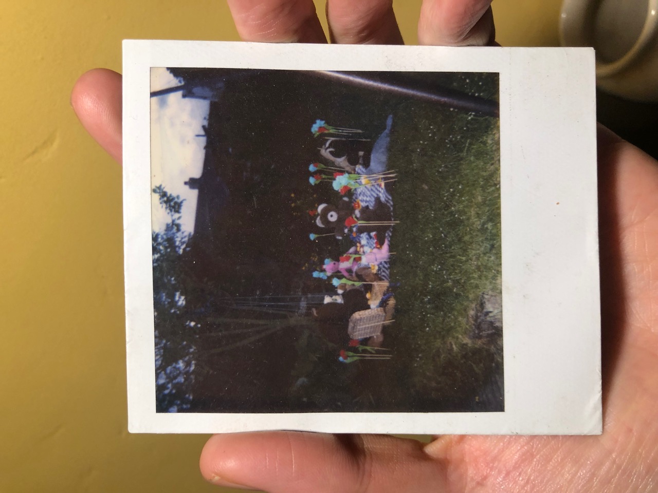 IMG_1454.jpeg