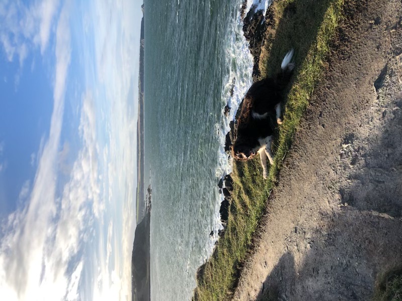 IMG_2441+2.jpeg