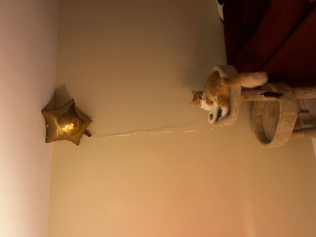 IMG_2644.jpeg