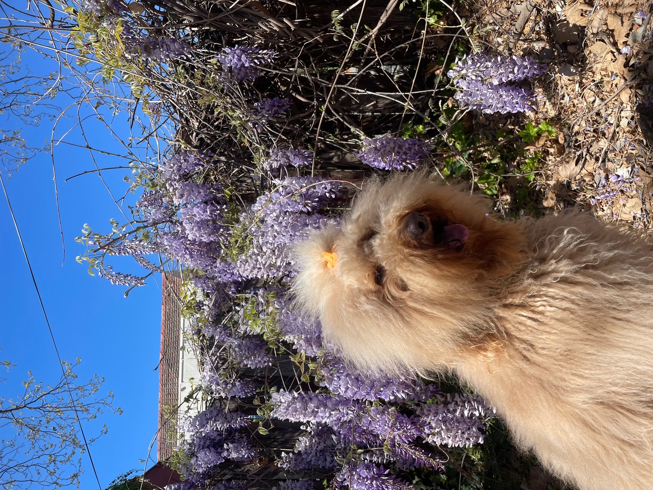 IMG_3366+2.jpeg