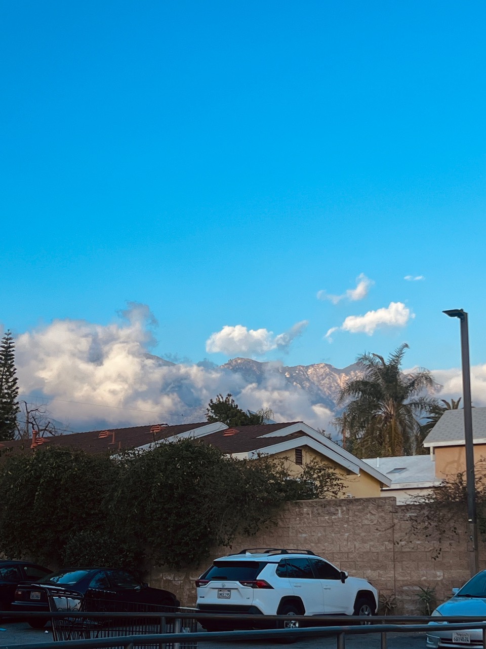 IMG_7792.jpeg
