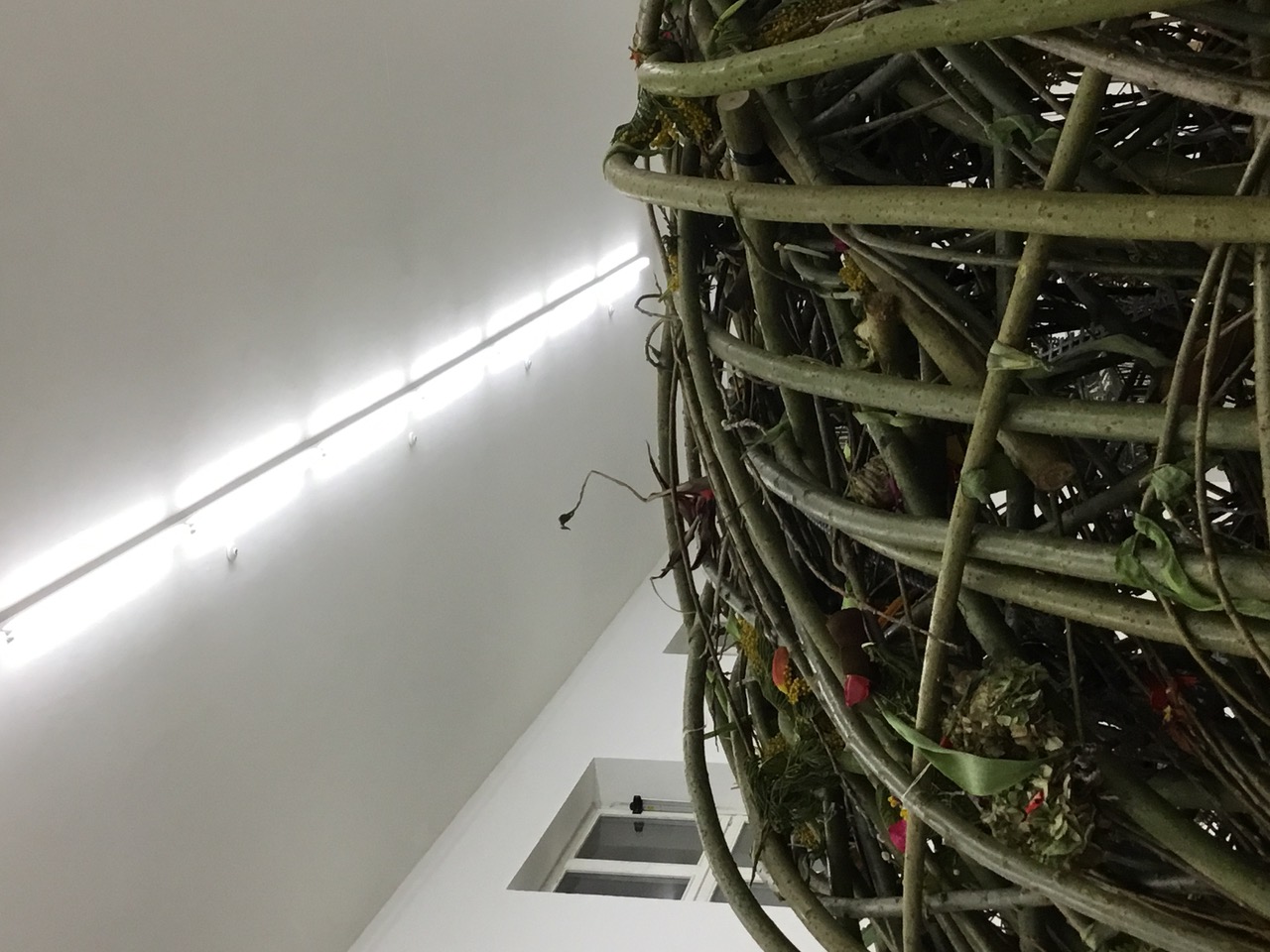 IMG_1645.jpeg