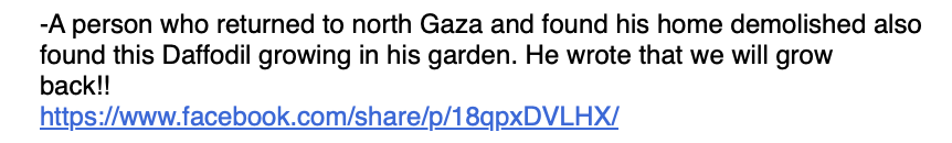 Screenshot+2025-01-29+at+10.06.53+AM.png