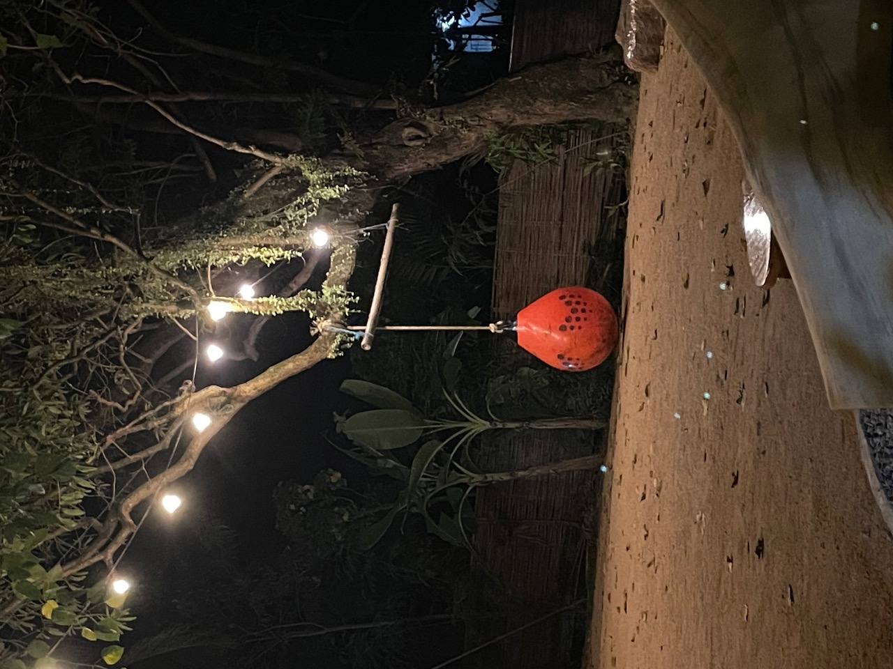 2023-12-24+00.21.18.jpeg