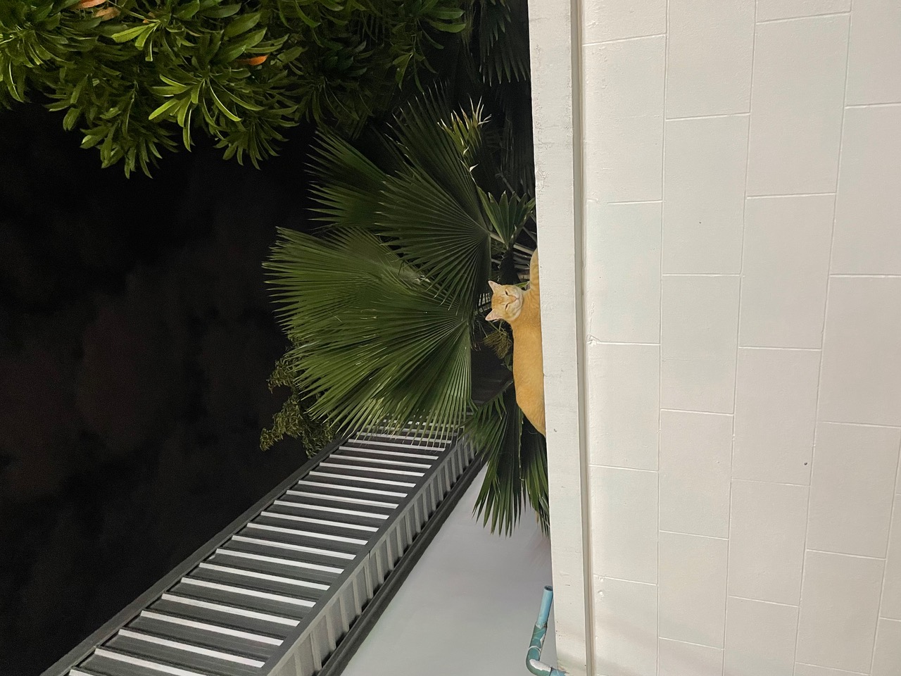 2023-12-24+00.46.56.jpeg