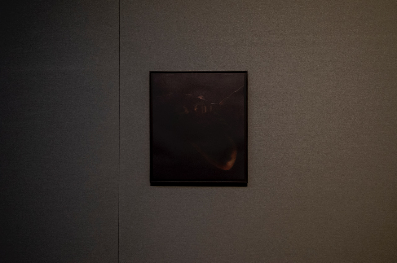 R0011226.jpeg