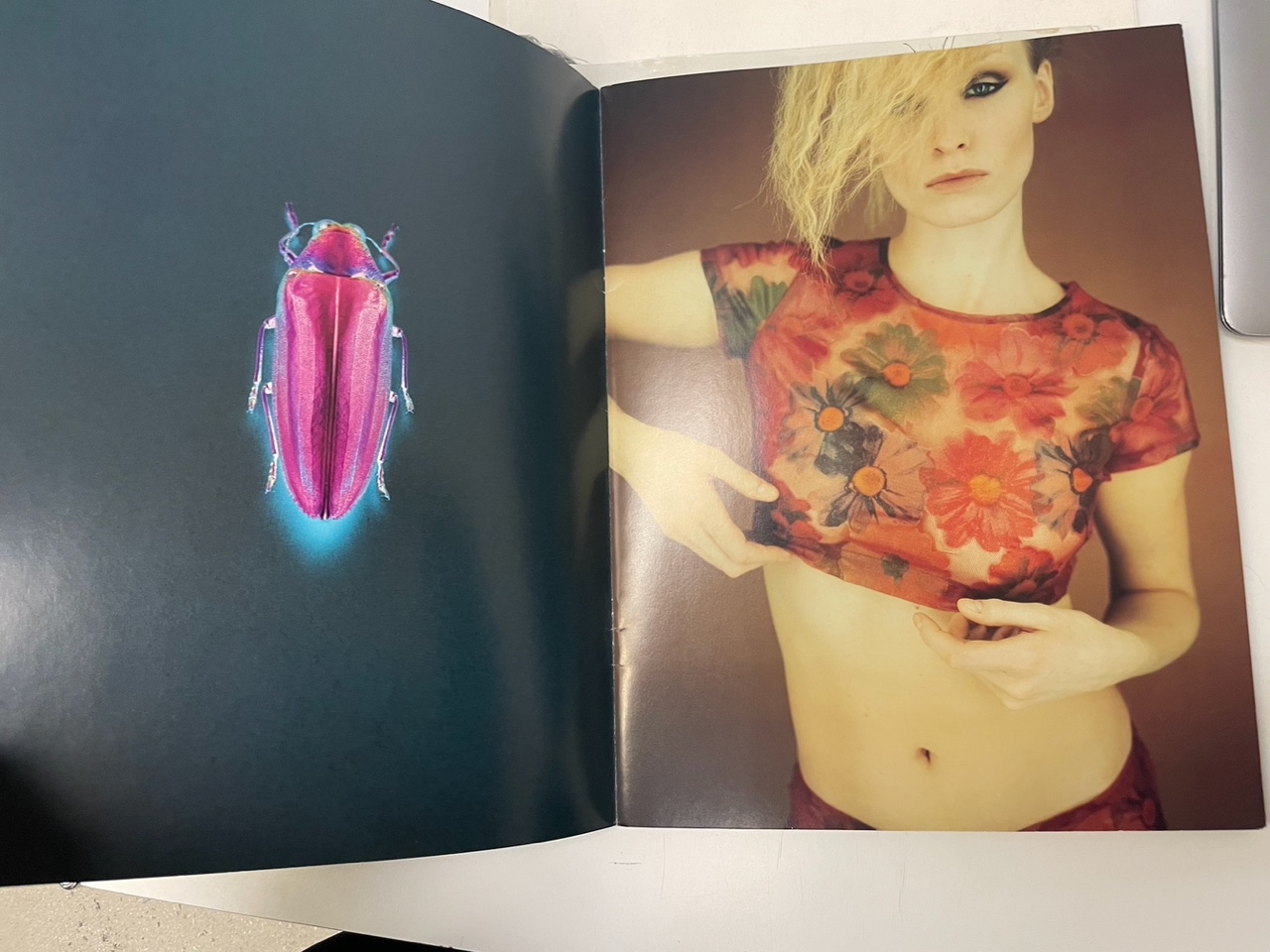 Photo Apr 06 2025, 16 59 05.jpeg