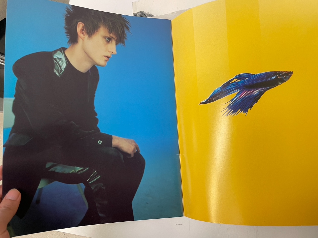 Photo Apr 06 2025, 16 59 39.jpeg