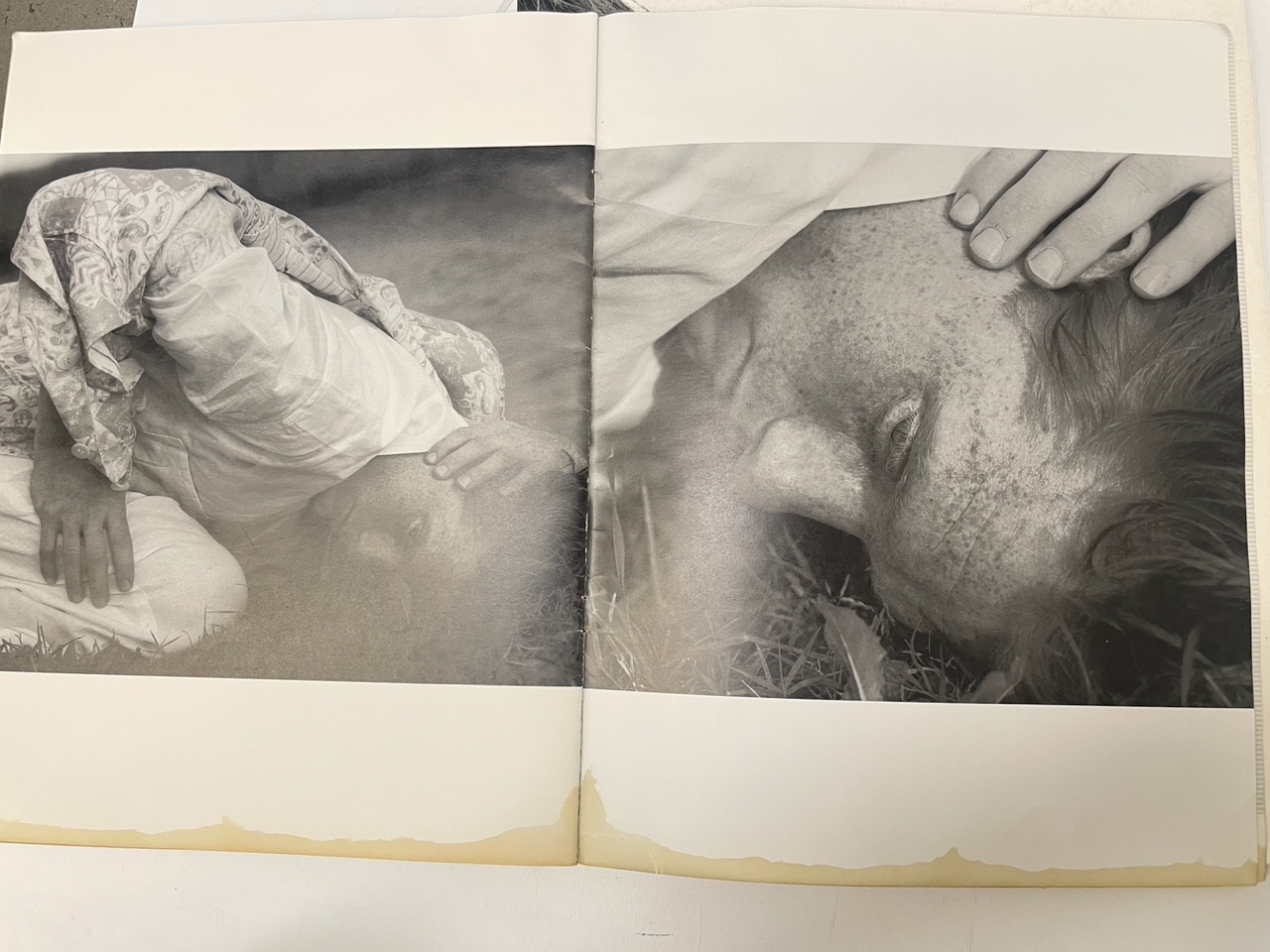 Photo Apr 06 2025, 17 01 06.jpeg