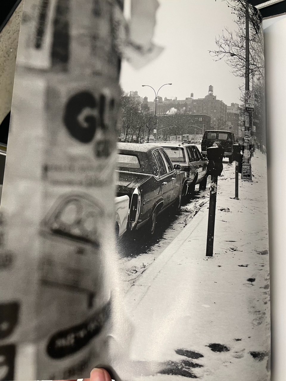 Photo Apr 06 2025, 17 02 19.jpeg