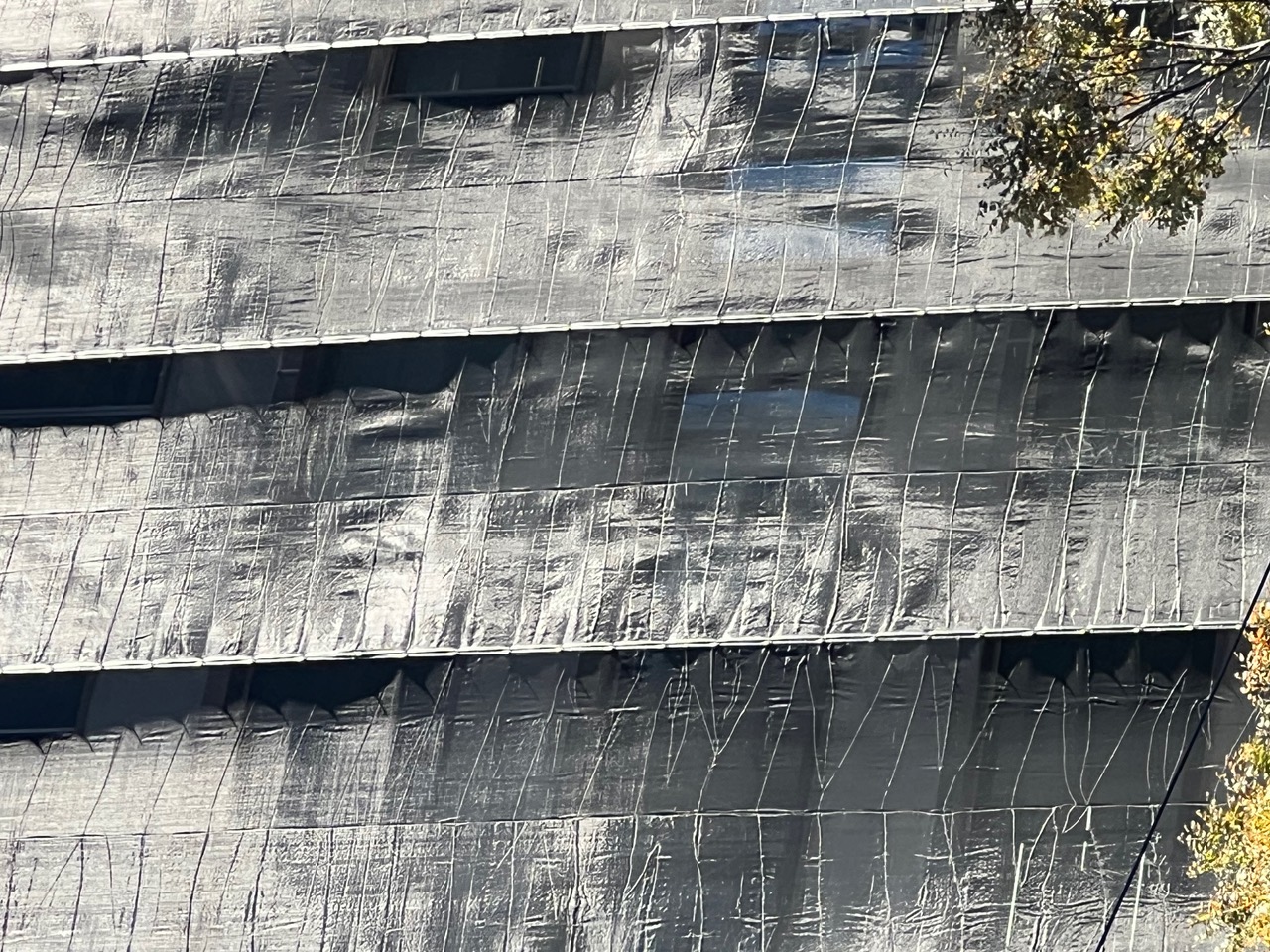 IMG_8277.jpeg