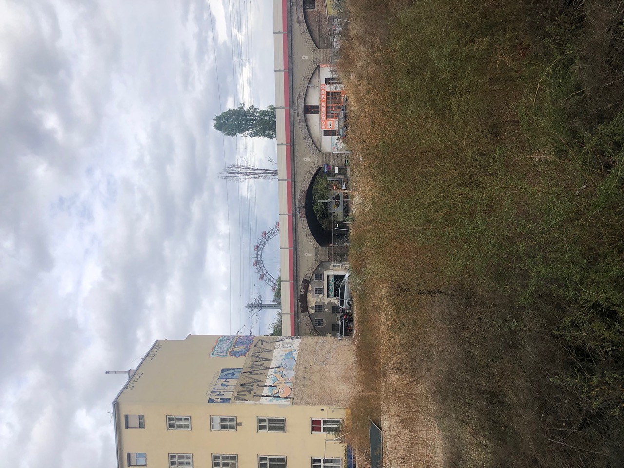 IMG_9550.jpeg