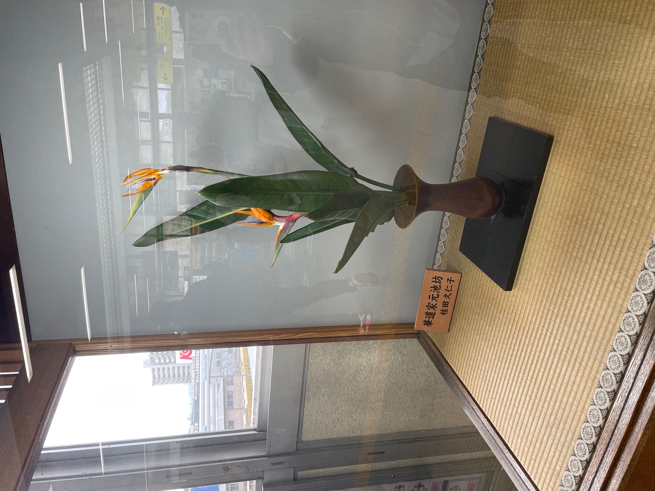IMG_4675.jpeg