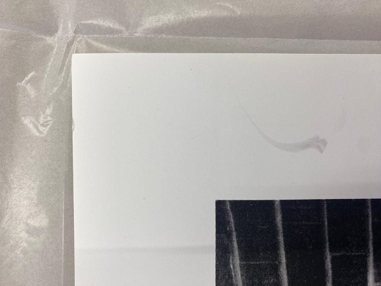 IMG_4947+2.jpeg