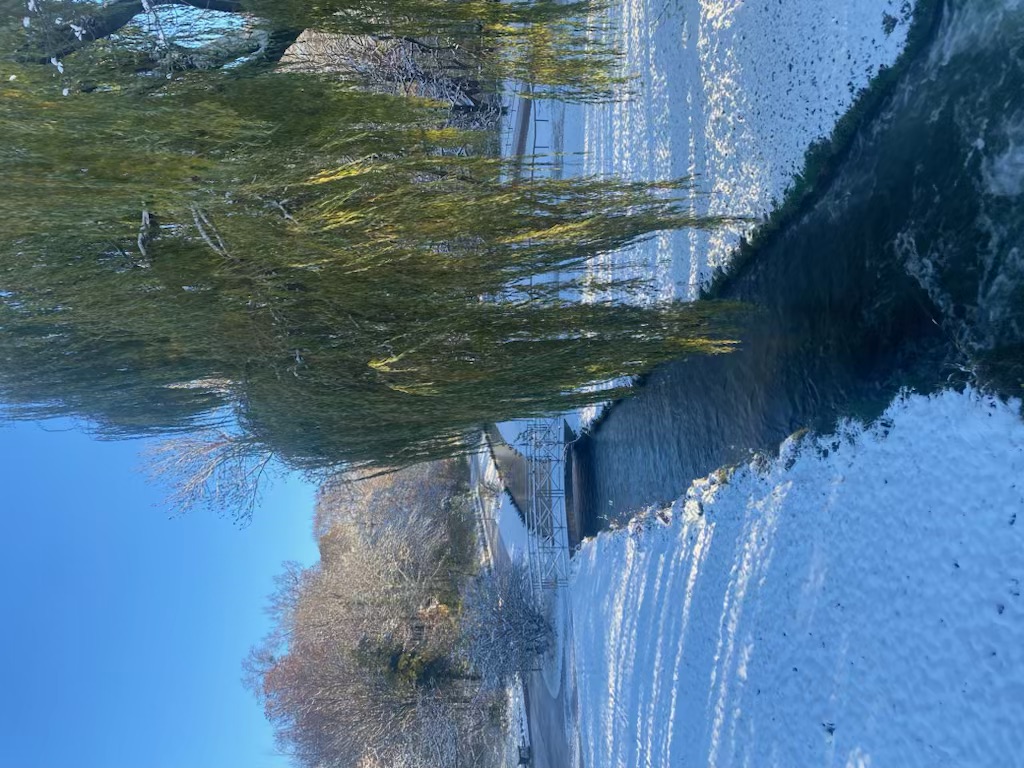 IMG_7947.jpeg
