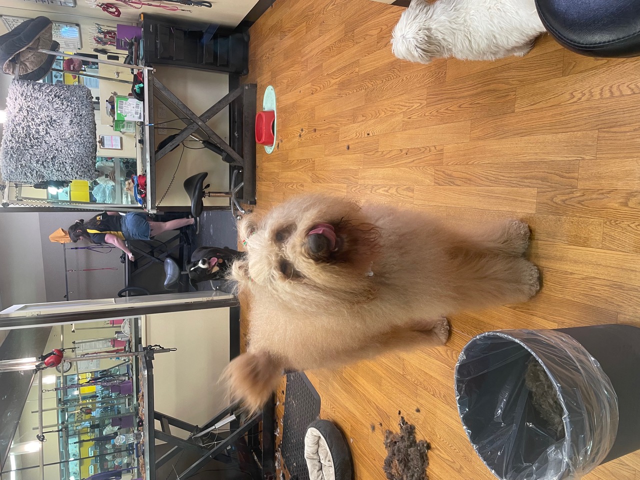 IMG_8560+2.jpeg