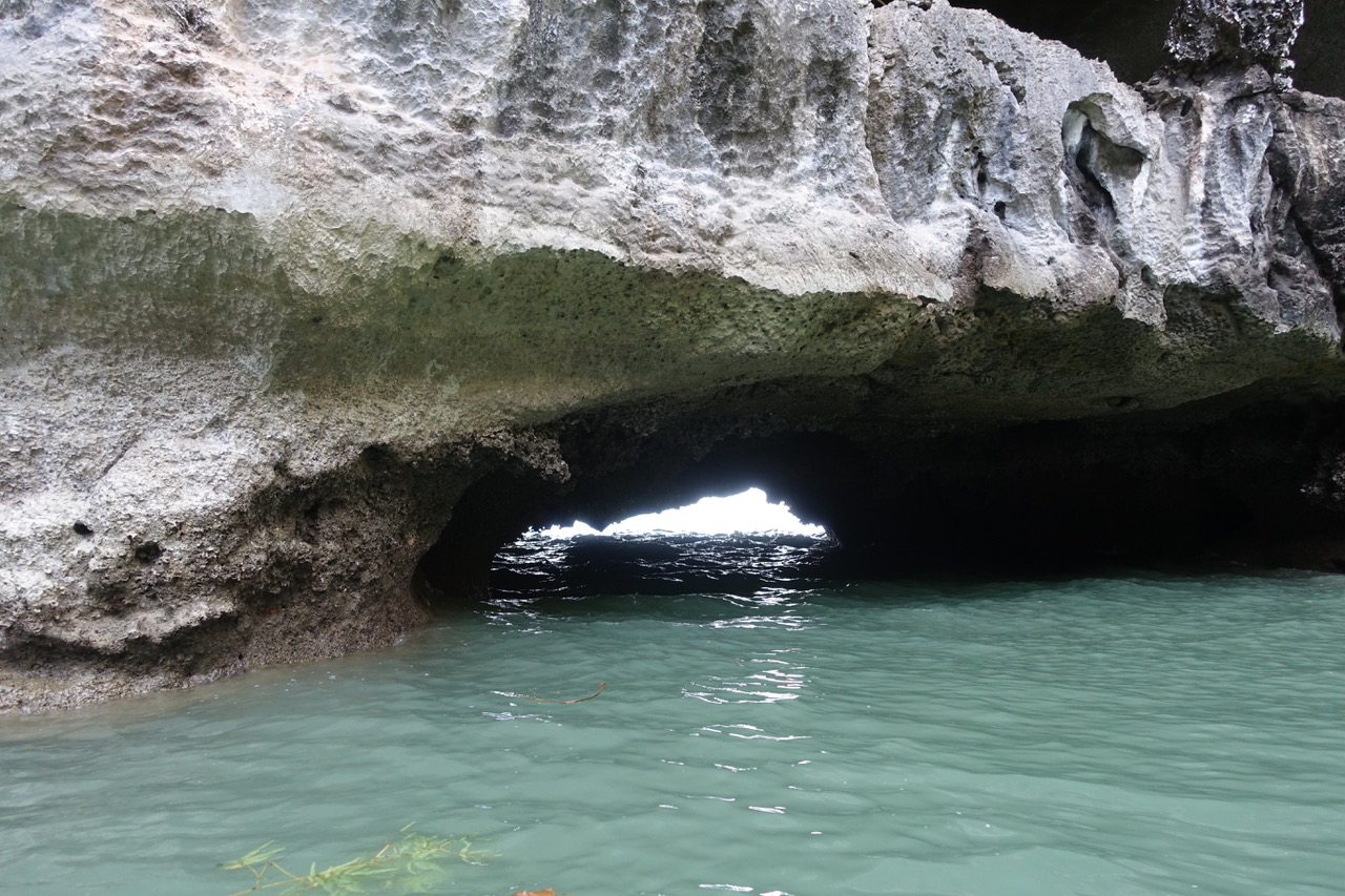 DSC05107.jpeg