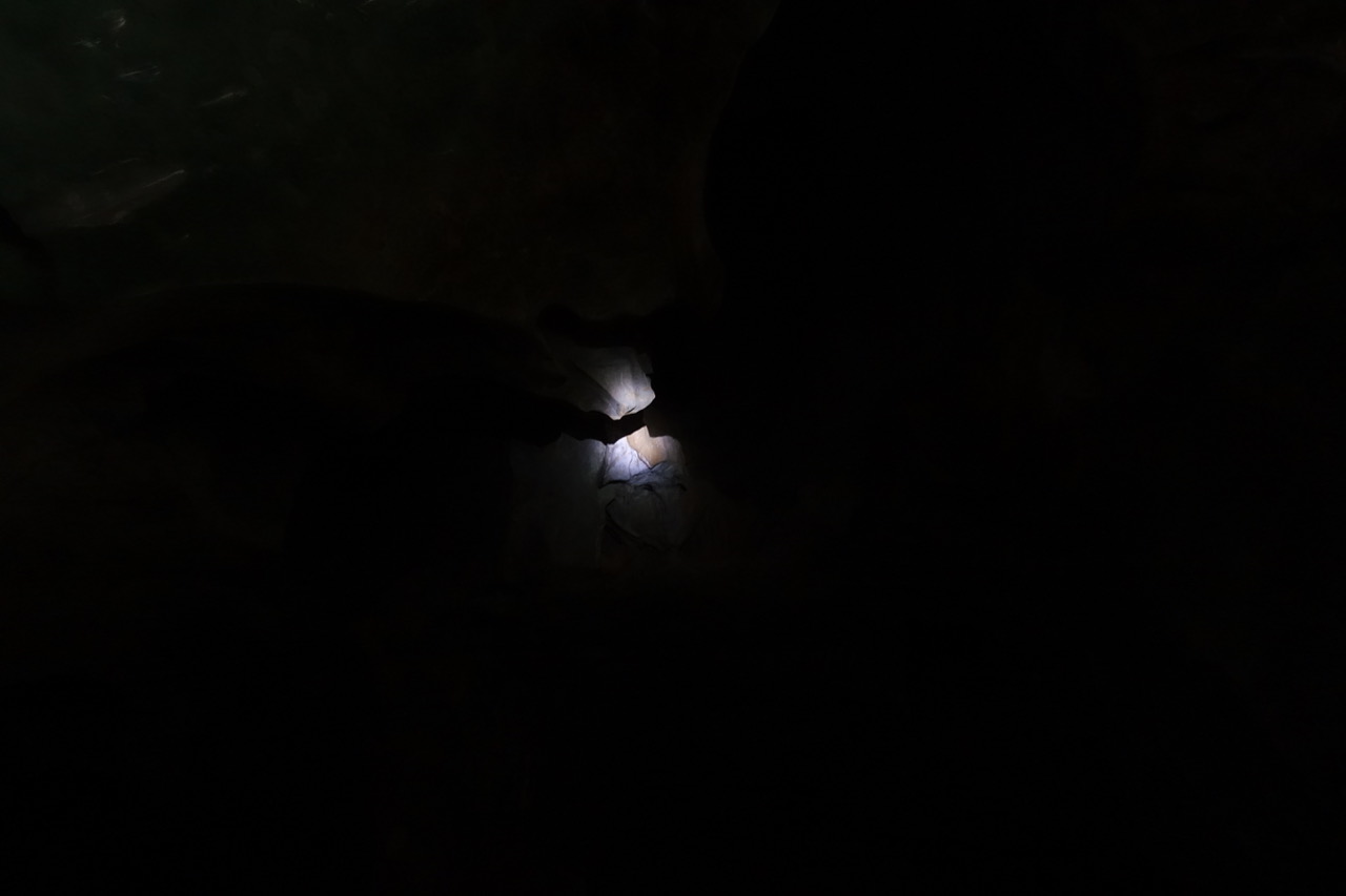 DSC05120.jpeg