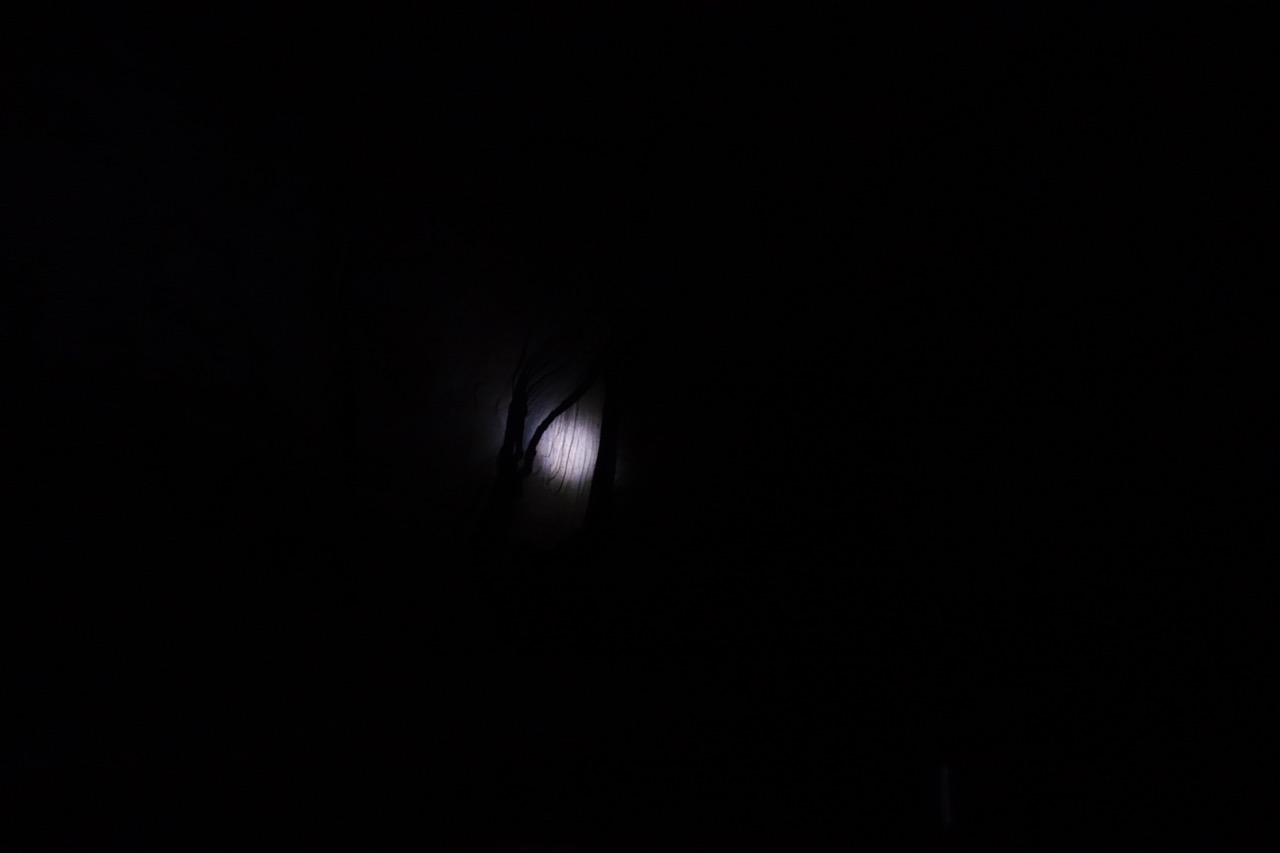 DSC05121.jpeg