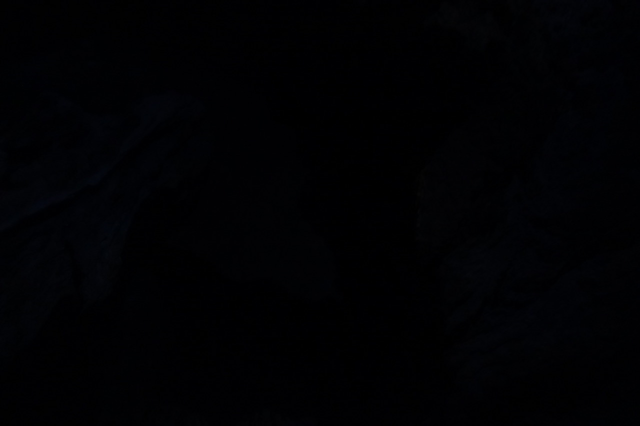 DSC05122.jpeg