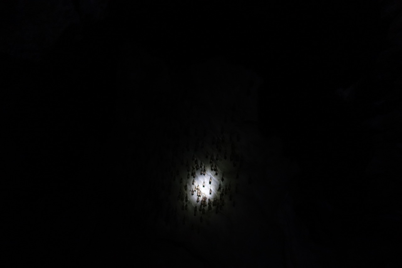 DSC05123.jpeg