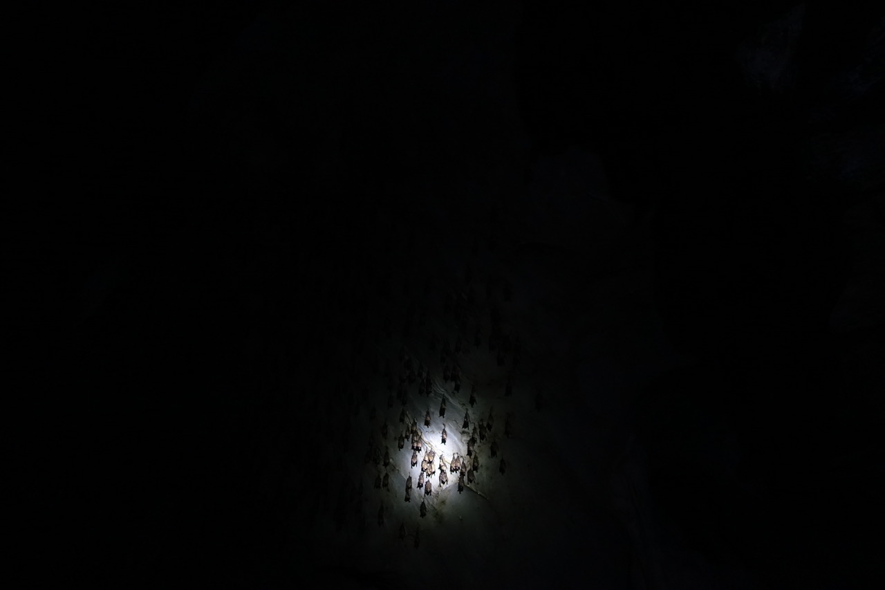 DSC05124.jpeg