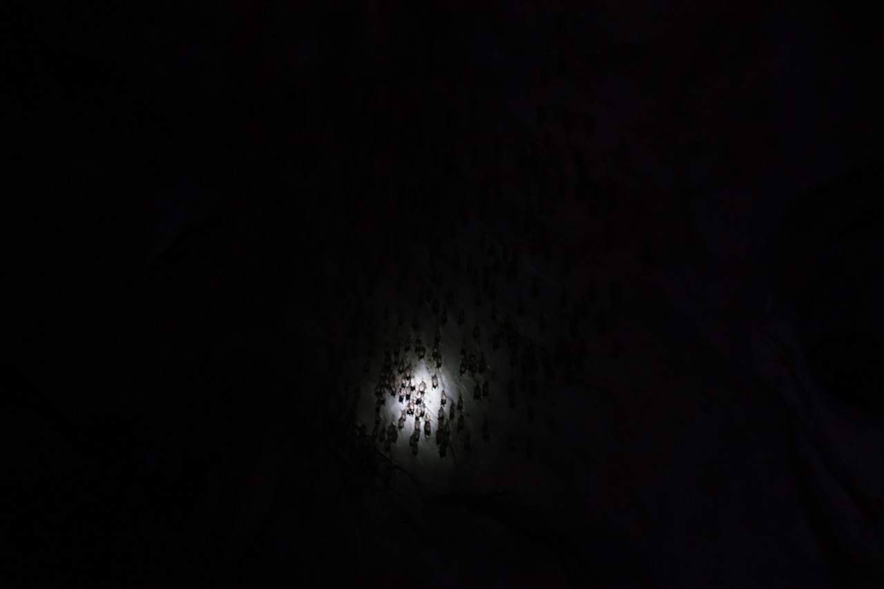 DSC05126.jpeg