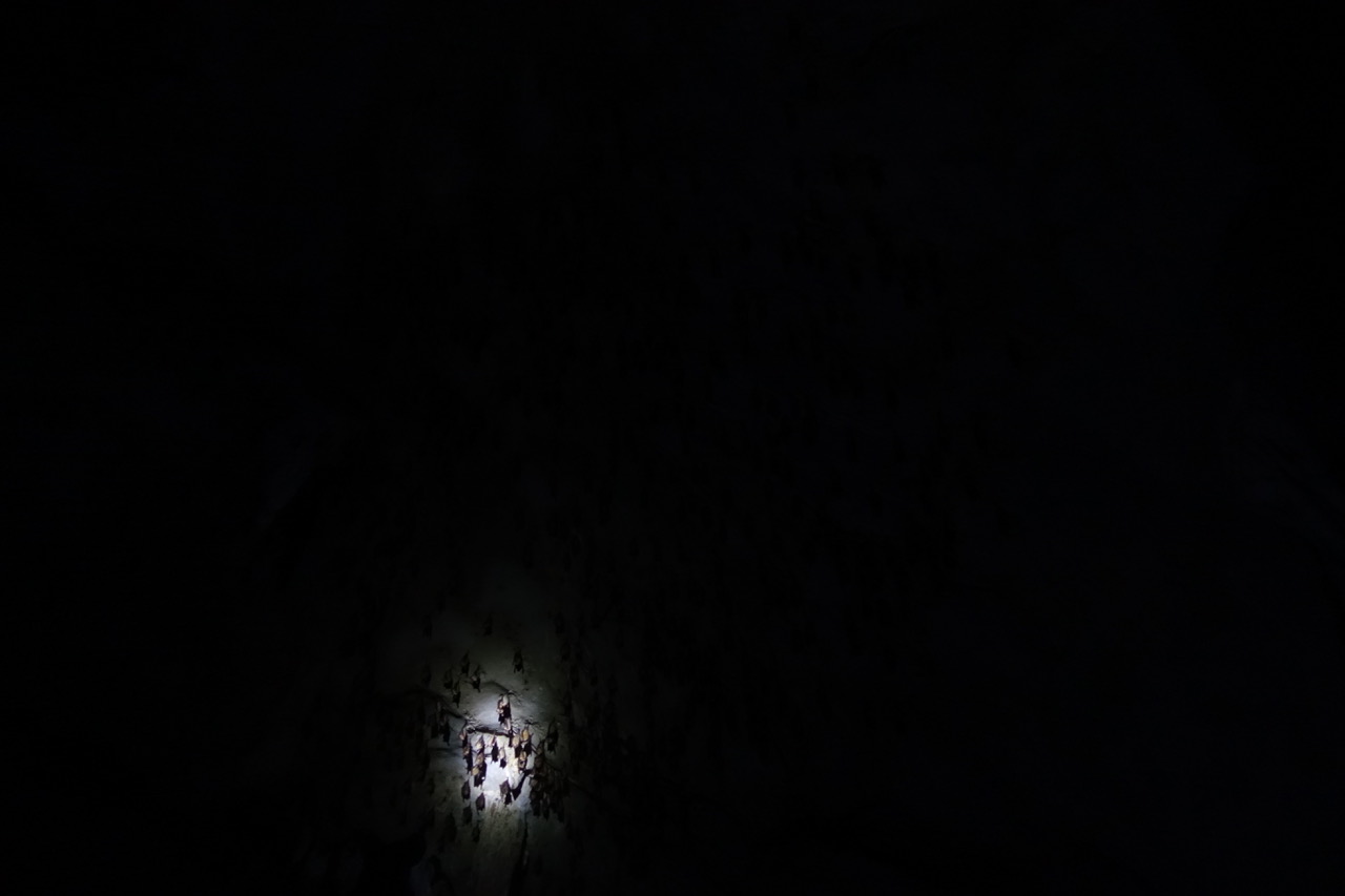 DSC05128.jpeg
