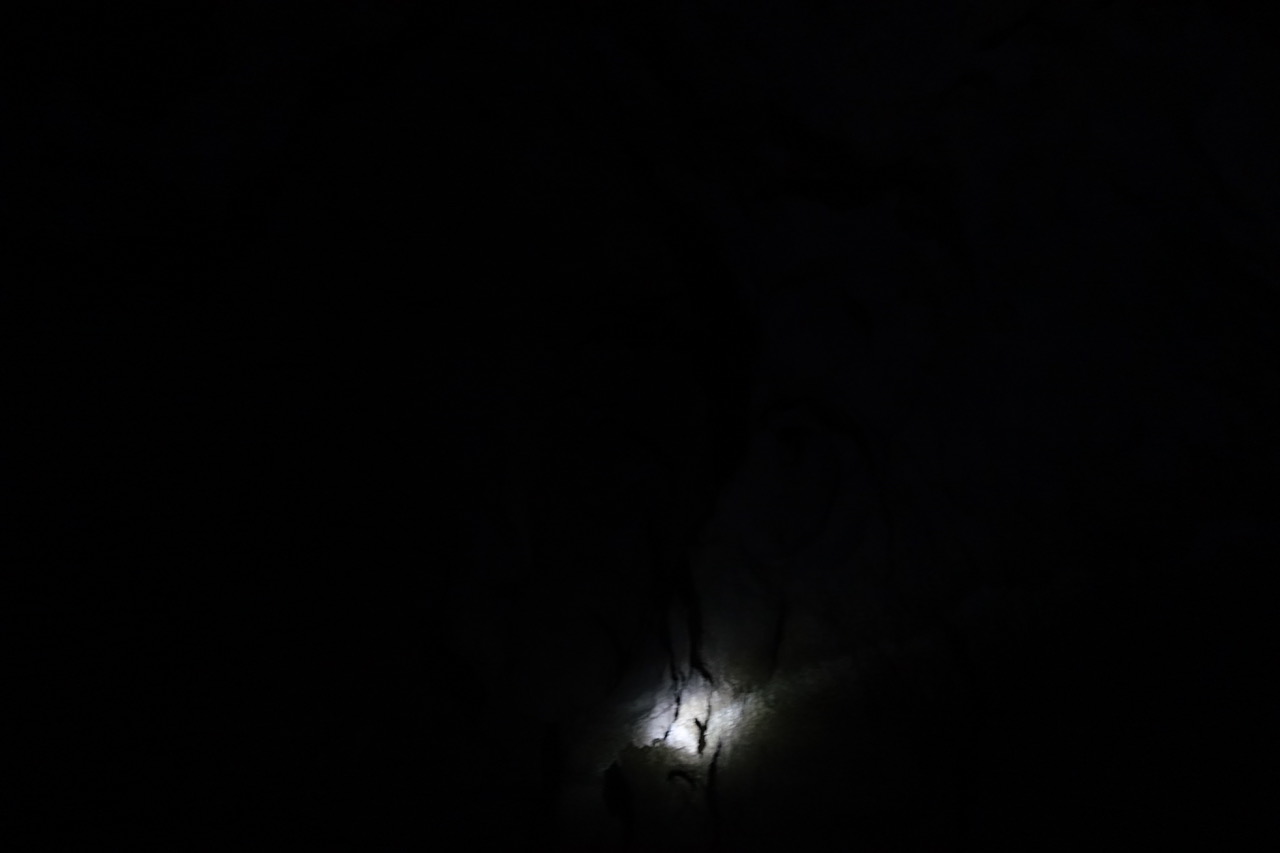 DSC05131.jpeg