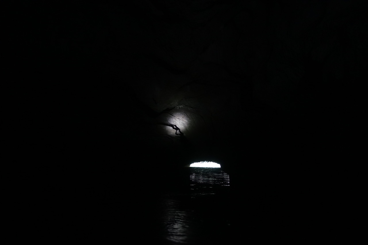 DSC05132.jpeg