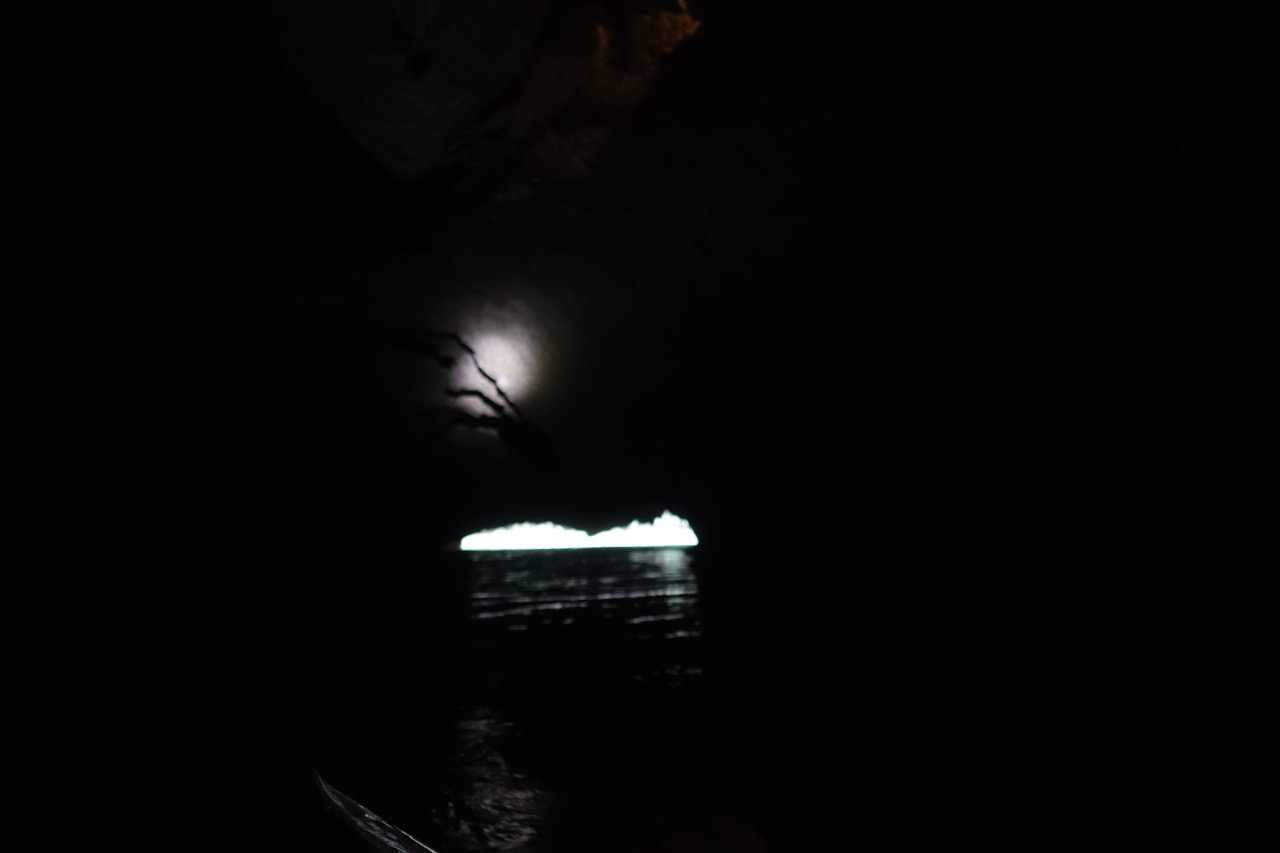 DSC05133.jpeg