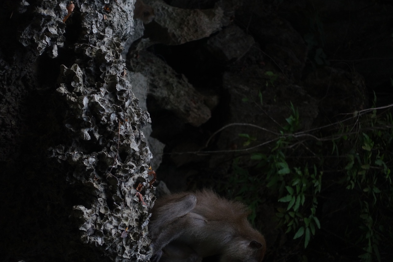 DSC05150.jpeg