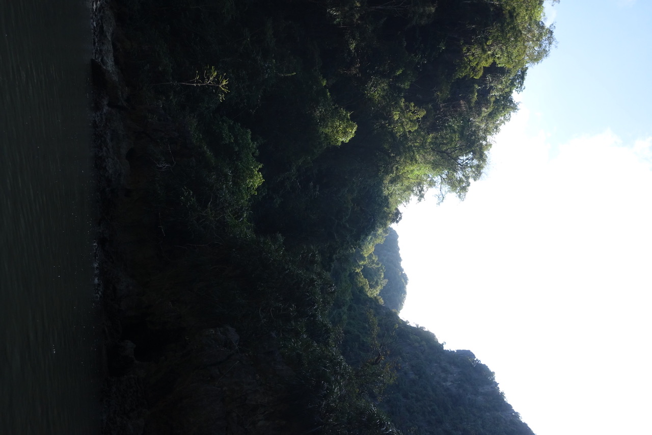 DSC05163.jpeg