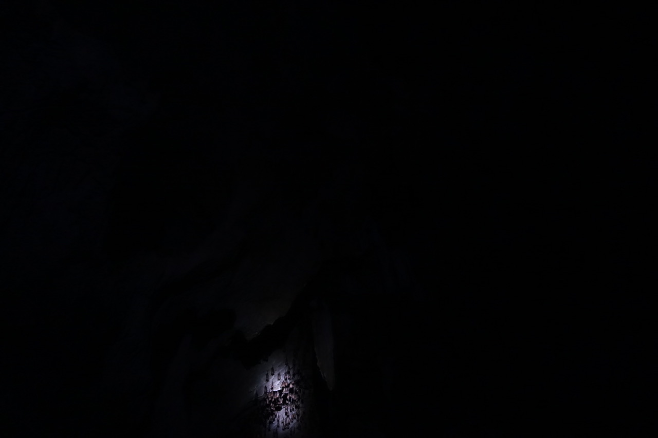 DSC05190.jpeg