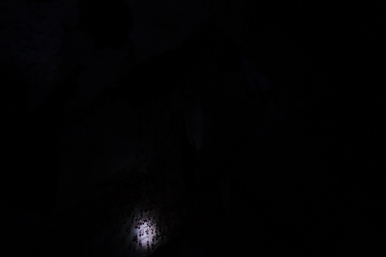 DSC05191.jpeg