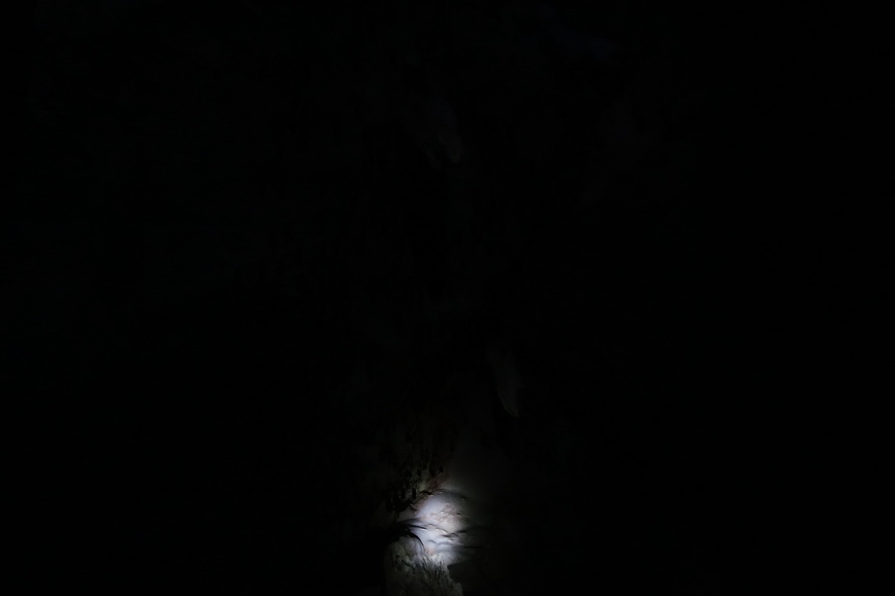DSC05192.jpeg