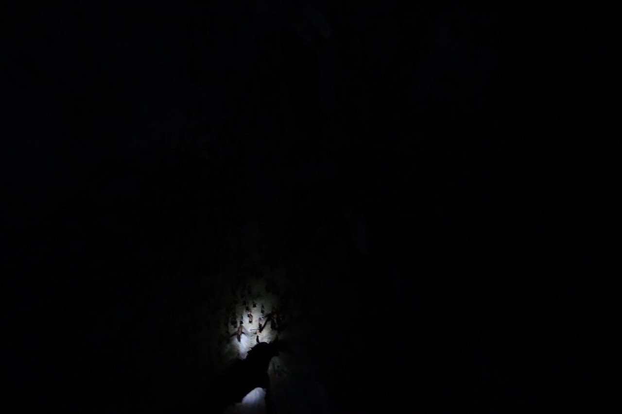 DSC05193.jpeg