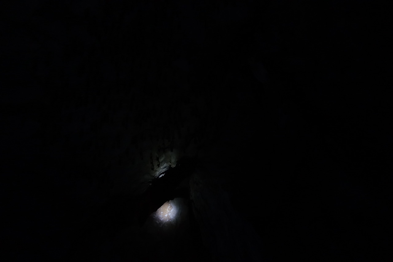 DSC05194.jpeg