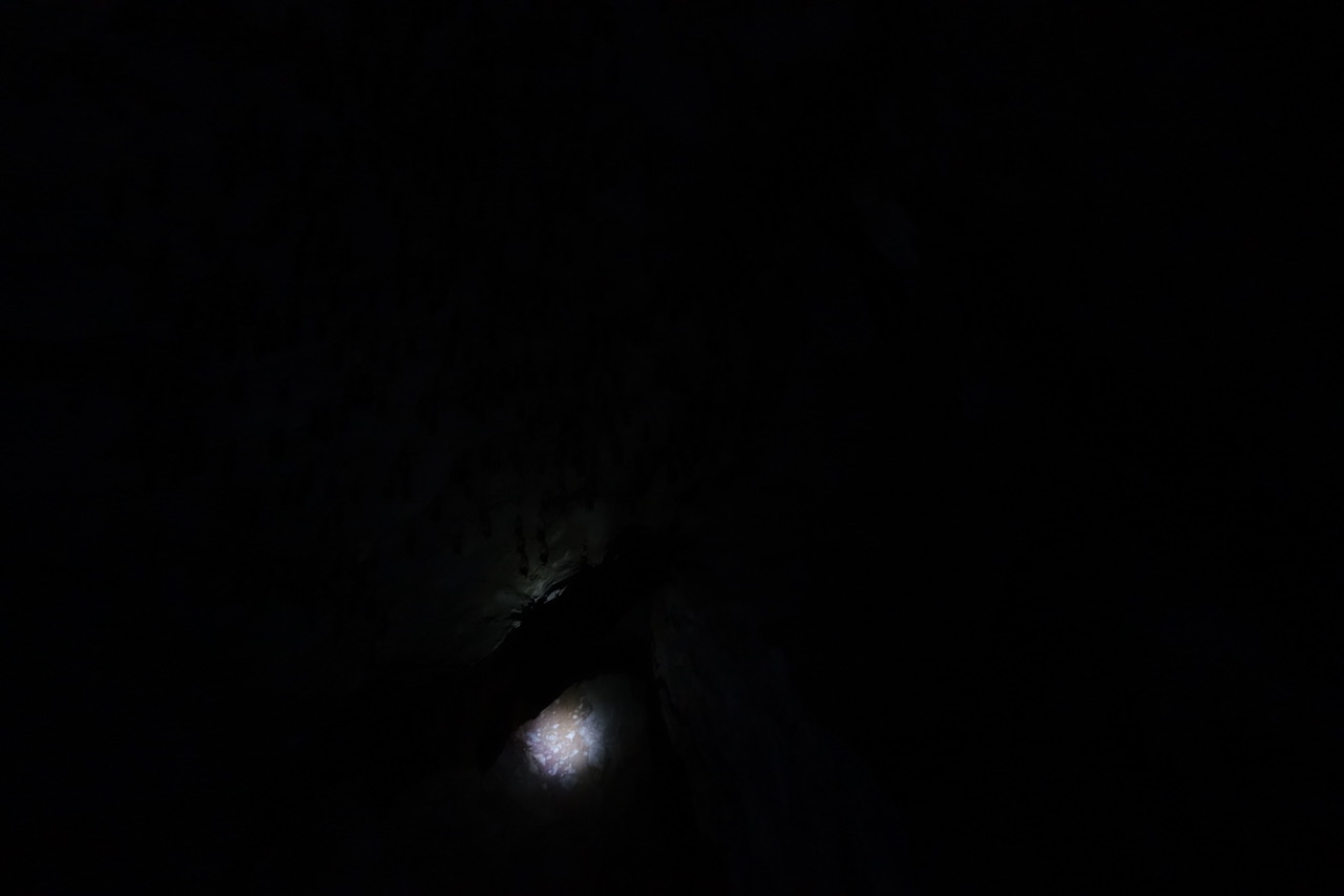 DSC05195.jpeg