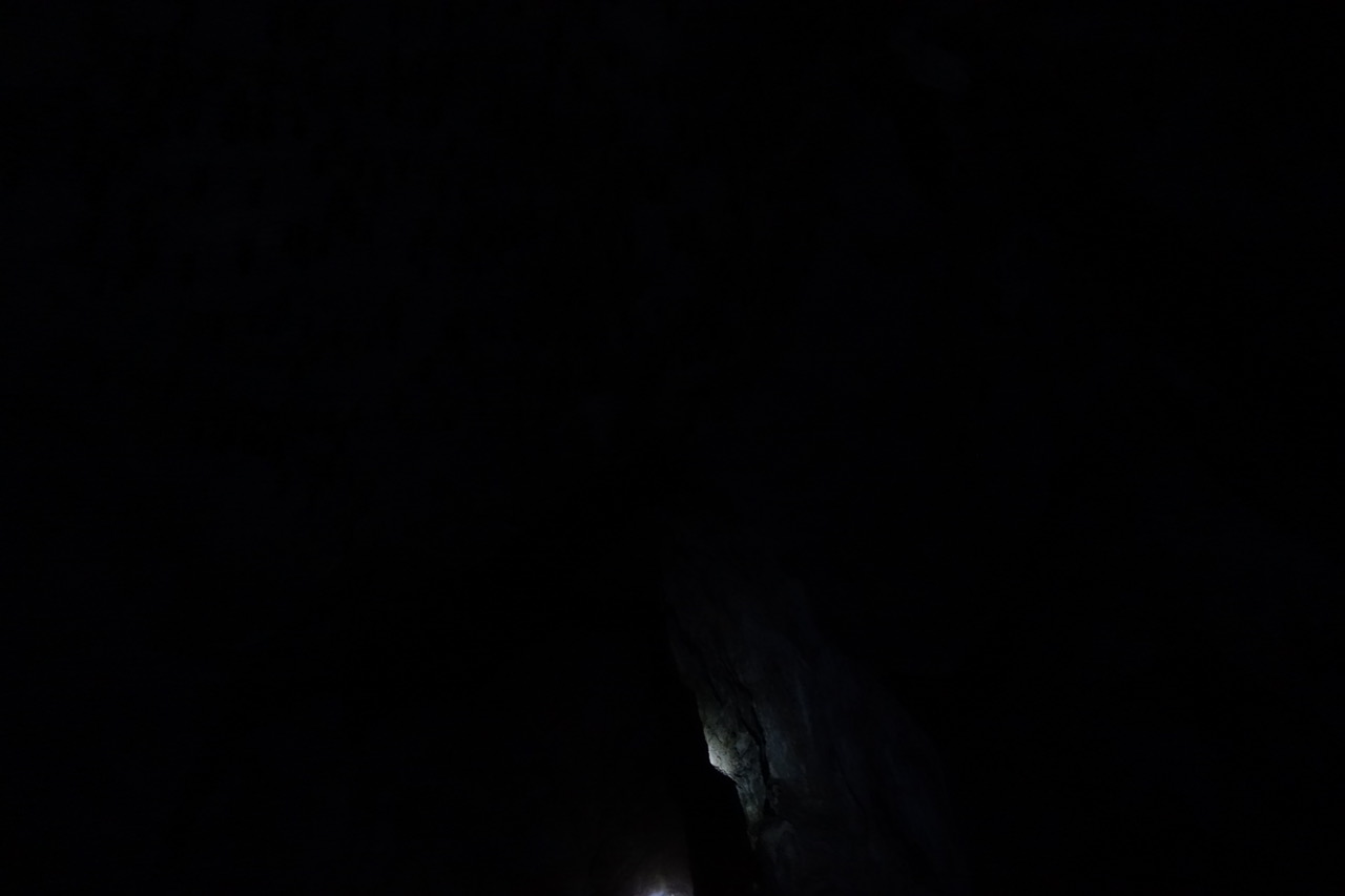 DSC05196.jpeg