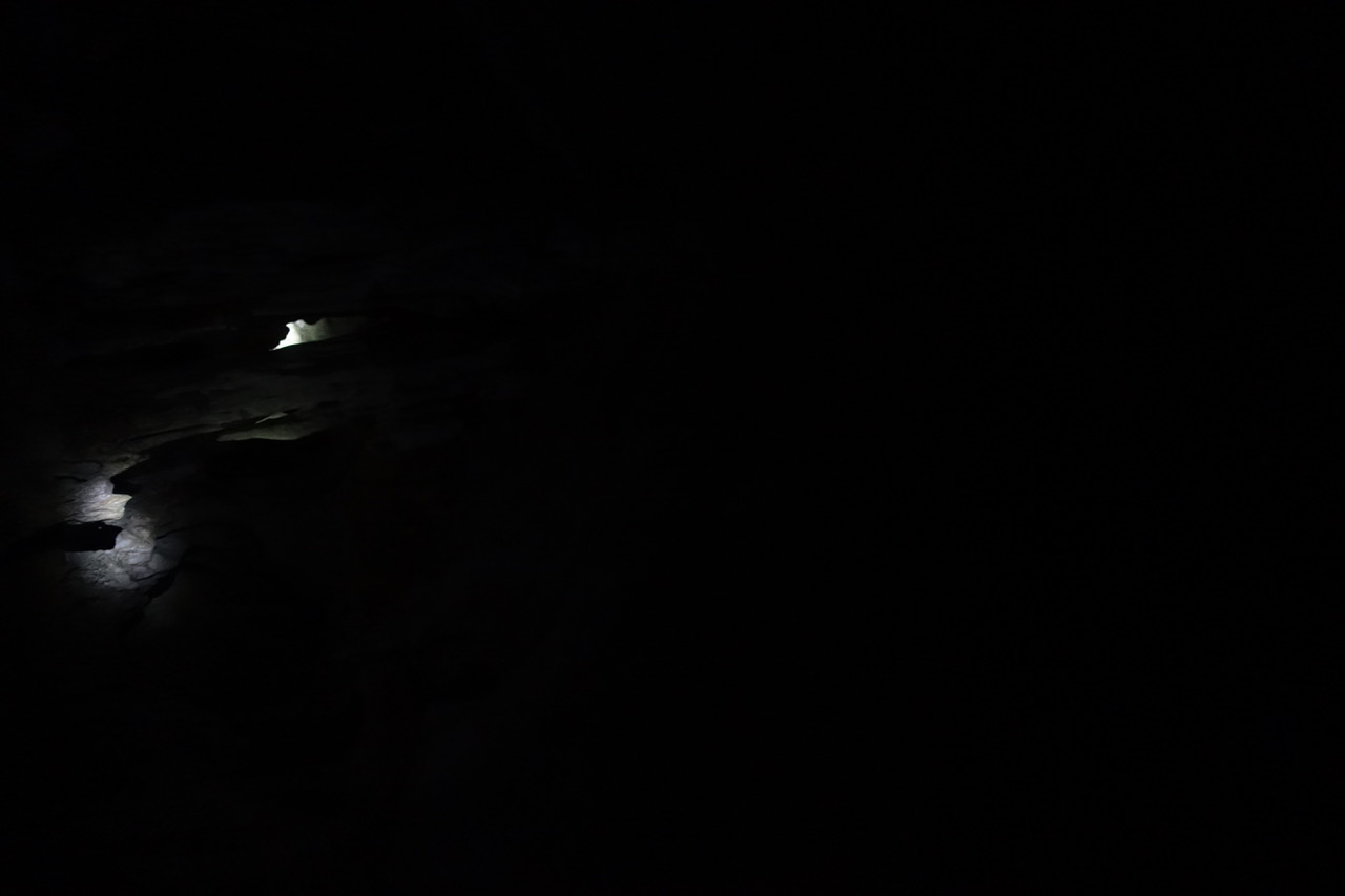 DSC05198.jpeg