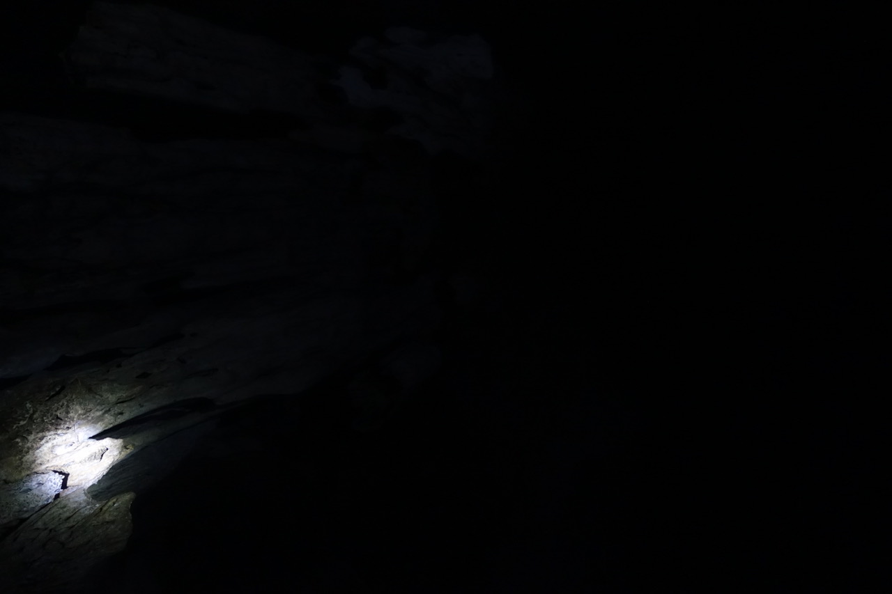 DSC05201.jpeg