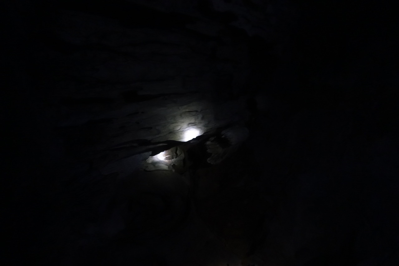 DSC05203.jpeg