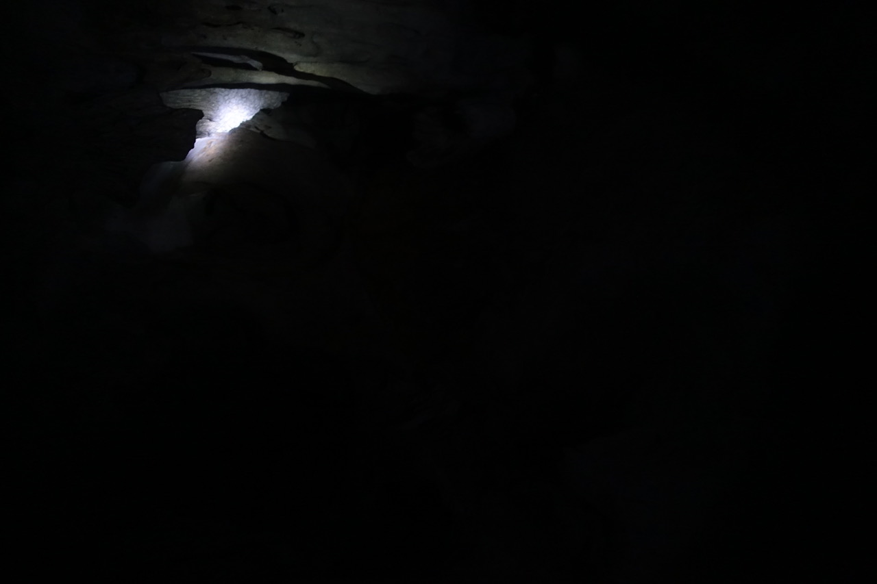 DSC05204.jpeg