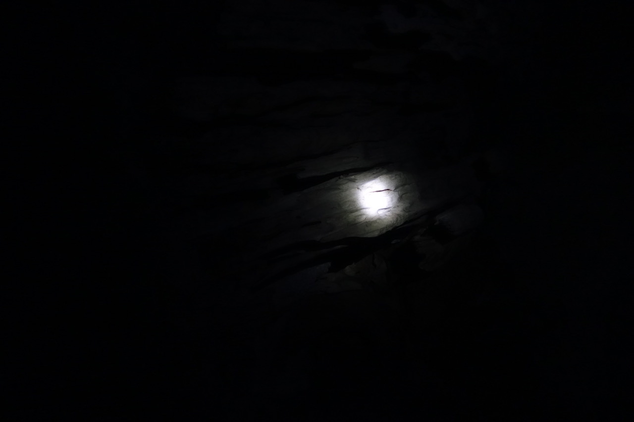 DSC05207.jpeg