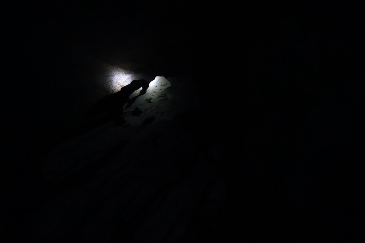 DSC05210.jpeg