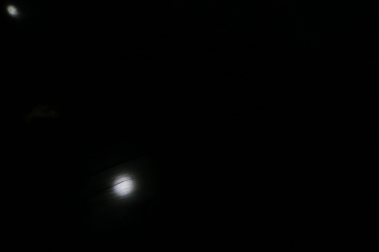 DSC05211.jpeg