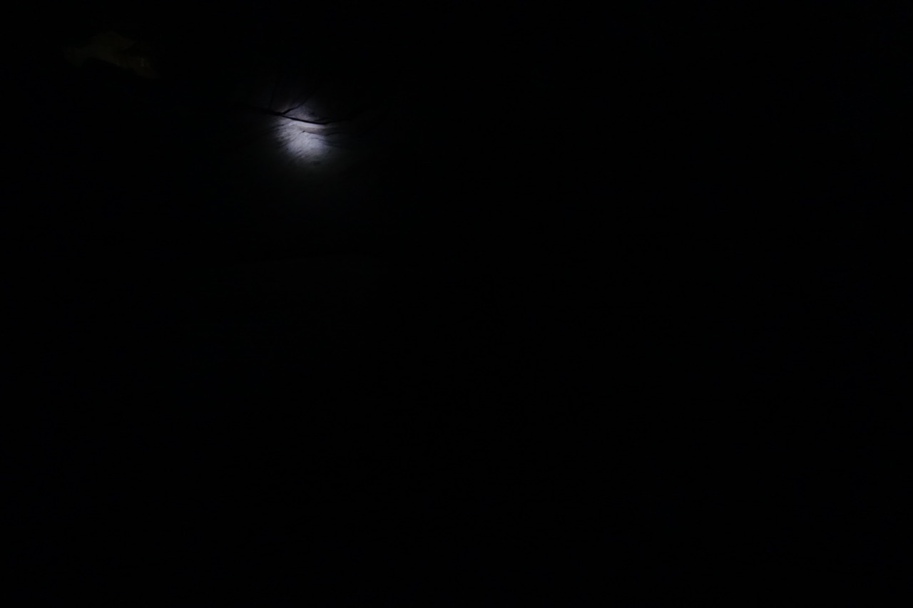 DSC05212.jpeg