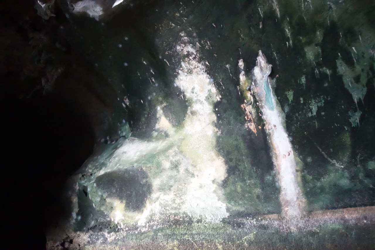 DSC05224.jpeg